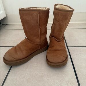 Chestnut Uggs